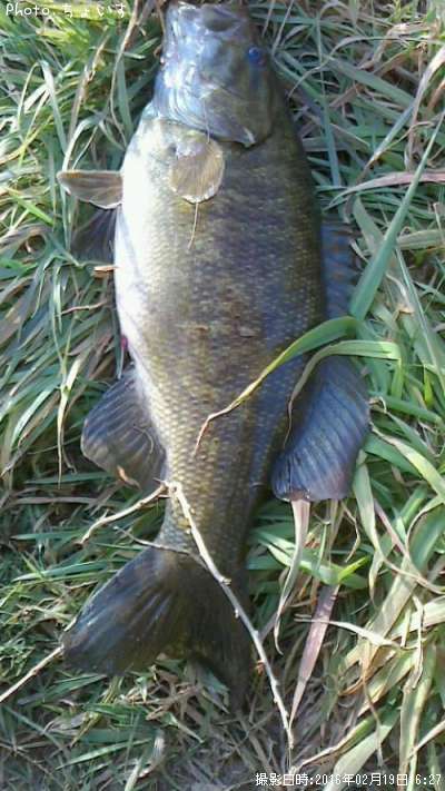 ���⡼��ޥ���