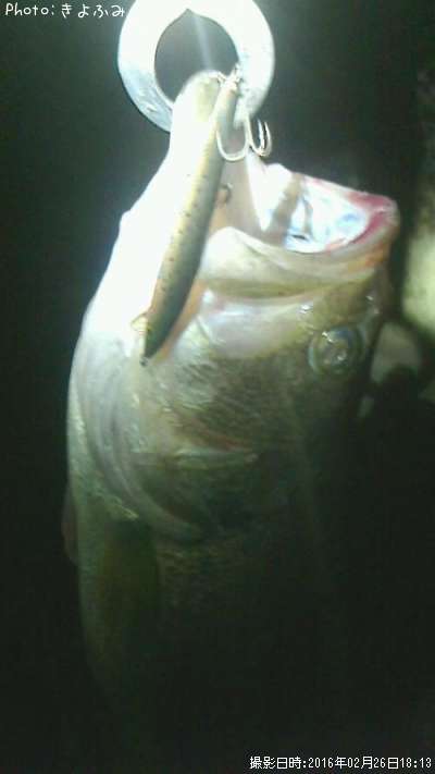 �֥�å��Х�