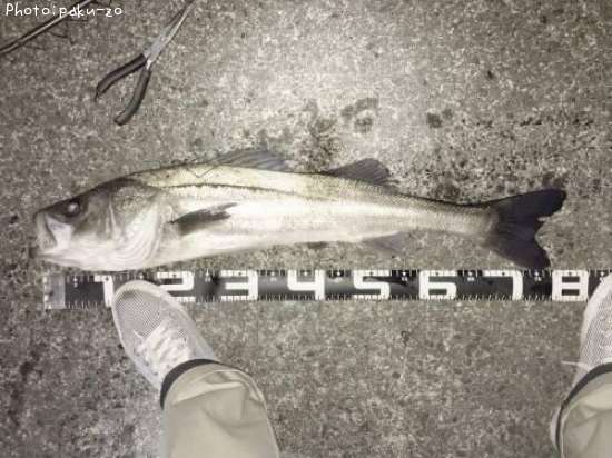 �����Х�