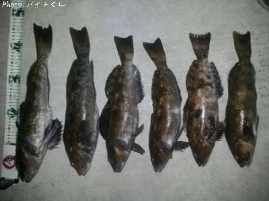 �����ʥ�