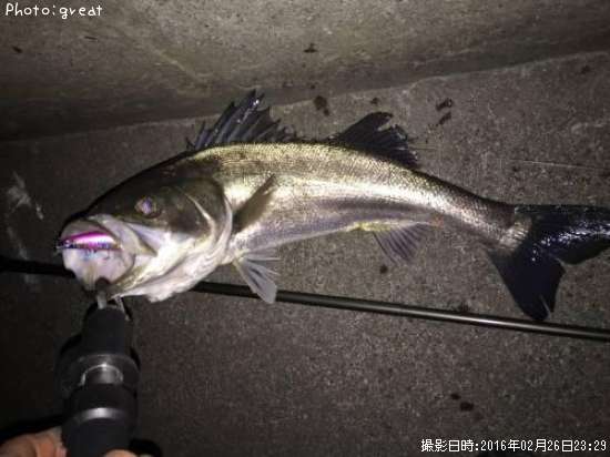 �����Х�