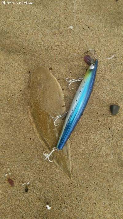 ���������Υ���