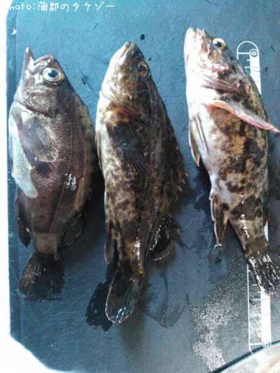 �����Υ�����Х�