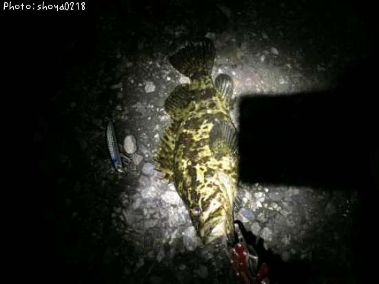 �����Υ���Х롩