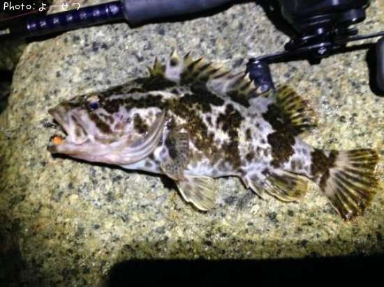 �����Υ���Х�