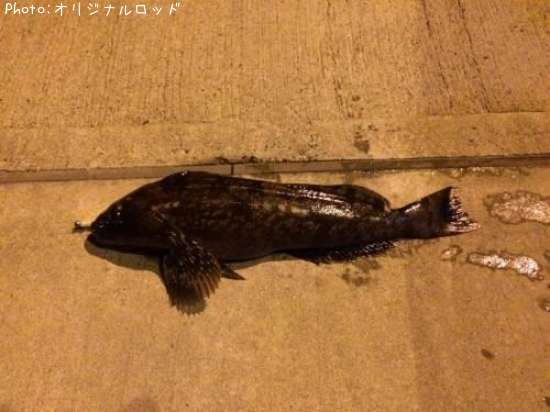 �����ʥ�