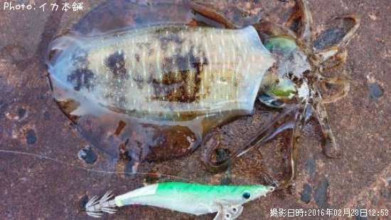 �����ꥤ��