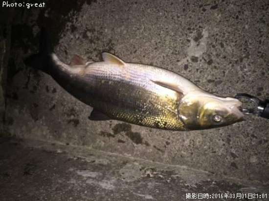 �ޥ륿������