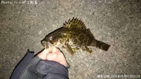 �����Υ���Х�