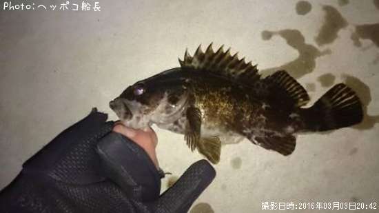 �����Υ���Х�