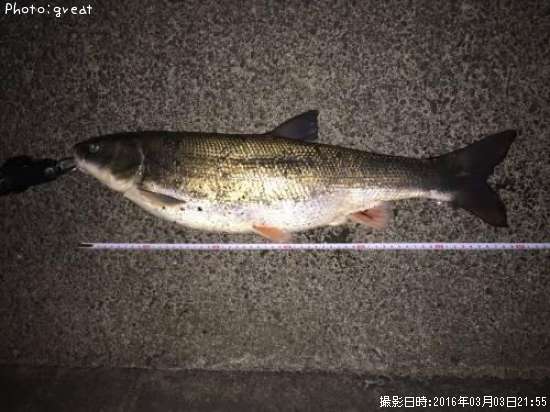 �ޥ륿������
