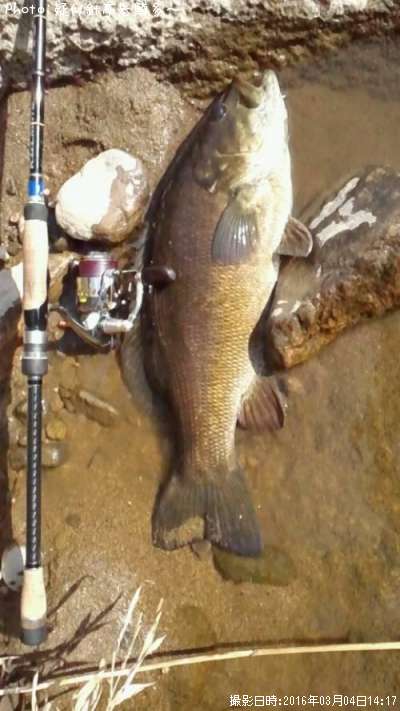 ���⡼��ޥ���