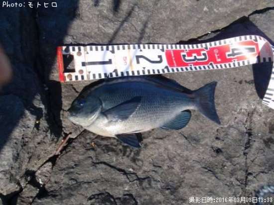 �����᥸��