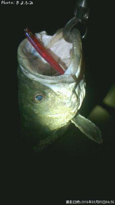 �����Х�