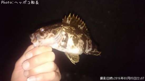 �����Υ���Х�