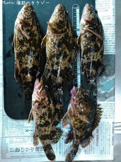 �����Υ���Х�