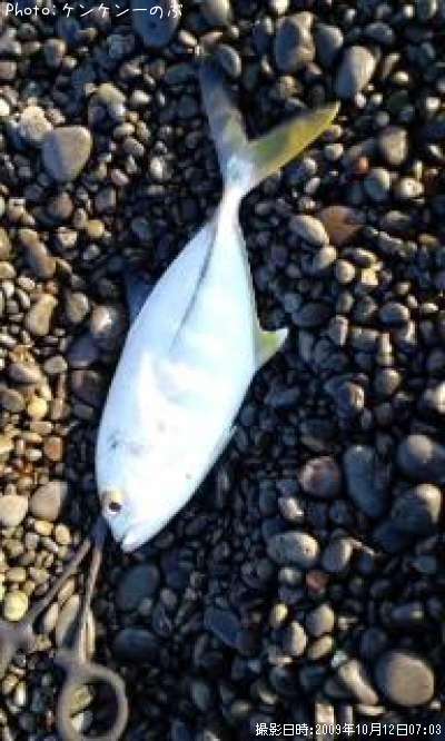 ���Сʥ�å���