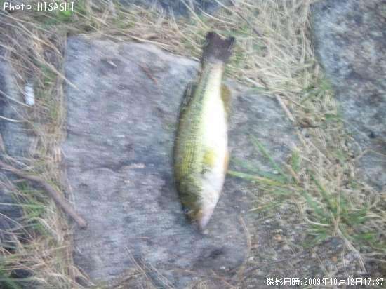 �֥�å��Х�