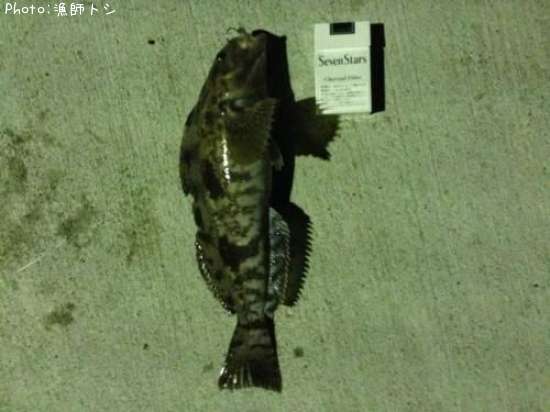 �����ʥ�