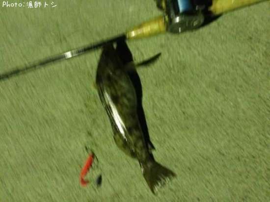 �����ʥ�