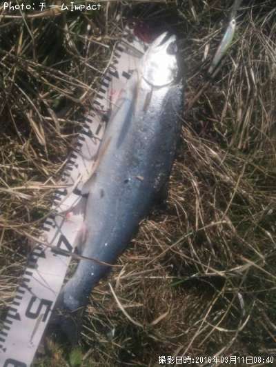 ������ޥ�