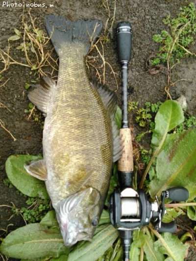 �֥�å��Х�