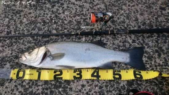 �ҥ饹����