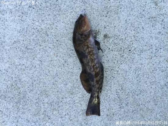 �����ʥ�