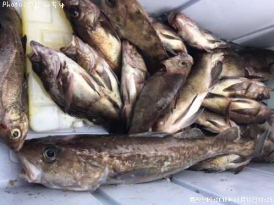 ��Х�ȥޥ���