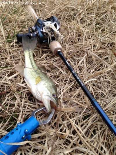 �֥�å��Х�