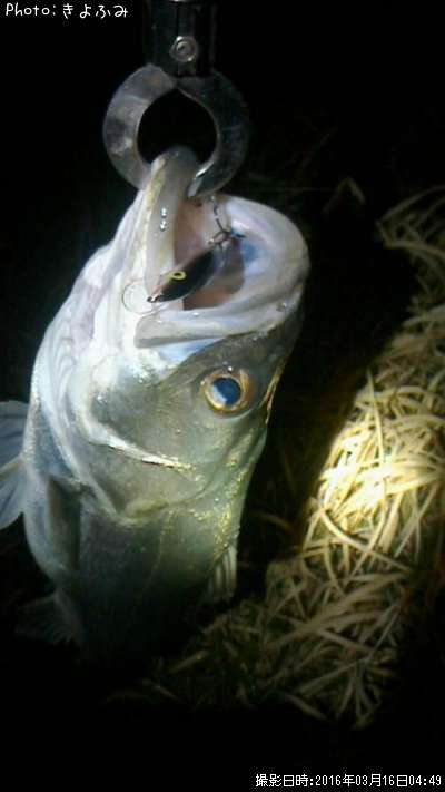 �����Х�