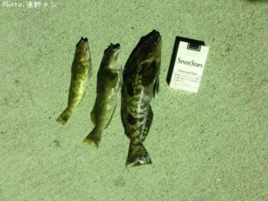 �����ʥ�