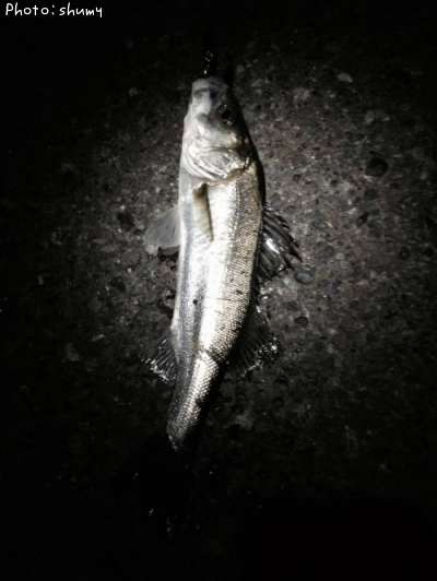 �����Х�