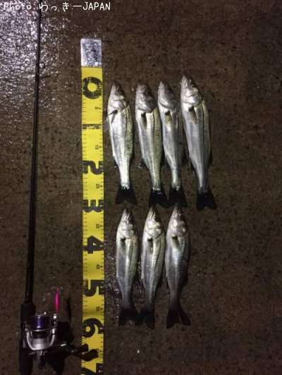 �����Х�