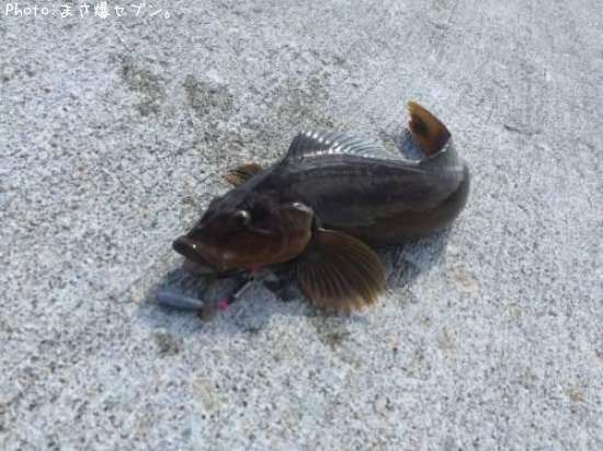 �����ʥ�