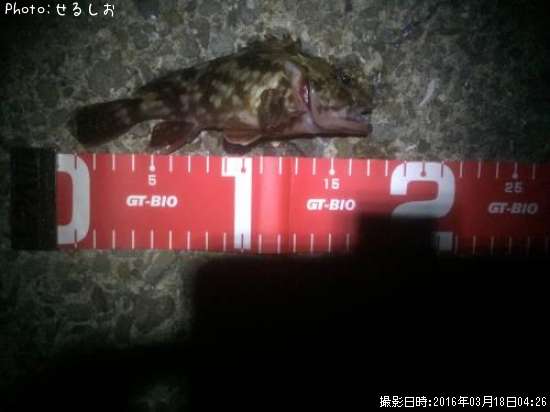 ��������������