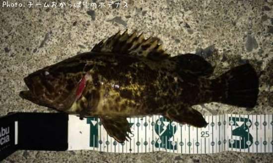 �����Υ���Х�