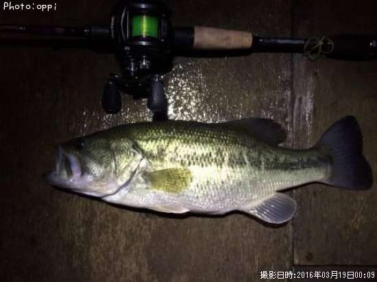 �֥�å��Х�