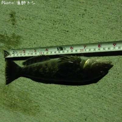 �����ʥ�