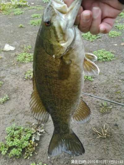 �֥�å��Х�