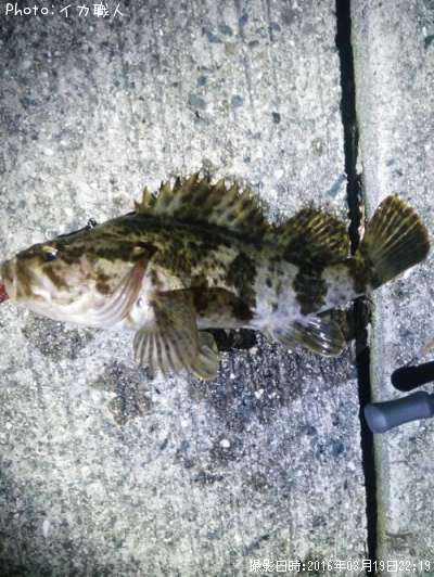 �����Υ���Х�