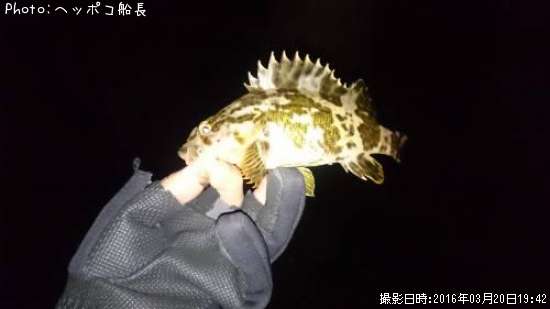 �����Υ���Х�