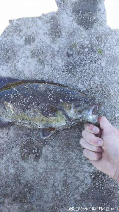 �֥�å��Х�