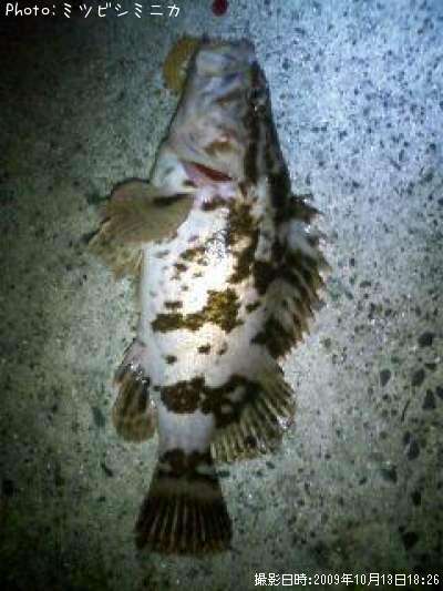 �����Υ���Х�