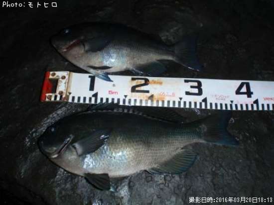 �����᥸��