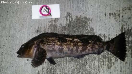 �����ʥ�