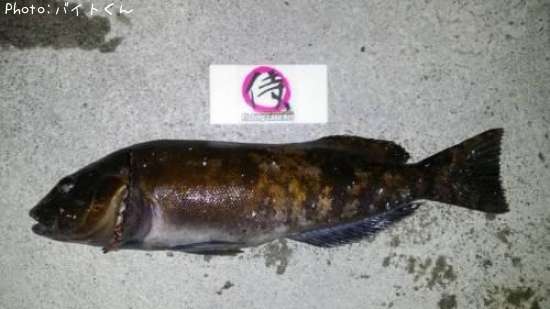 �����ʥ�