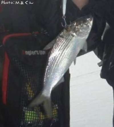 ���Υ���