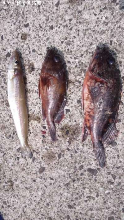 ������������