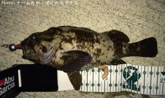 ��饽��